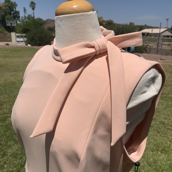 Calvin Klein pink blush sleeveless dress women's size 14 new with tags - Picture 2 of 9